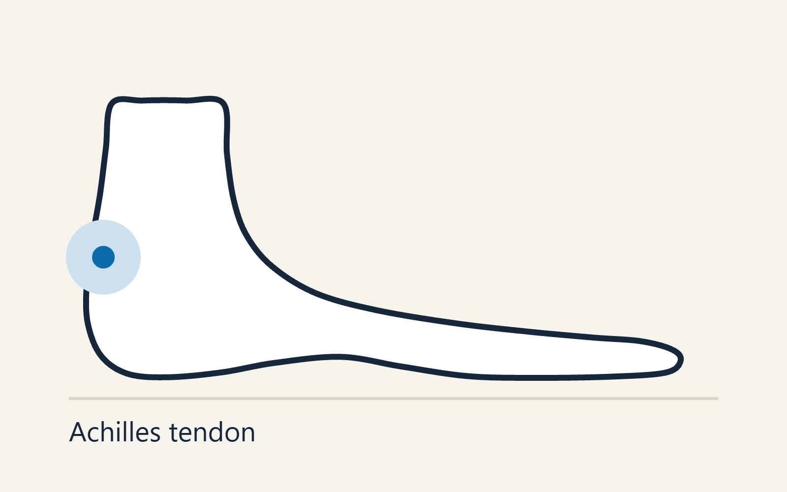 Side view of the heel marking the Achilles tendon above and behind the heel bone