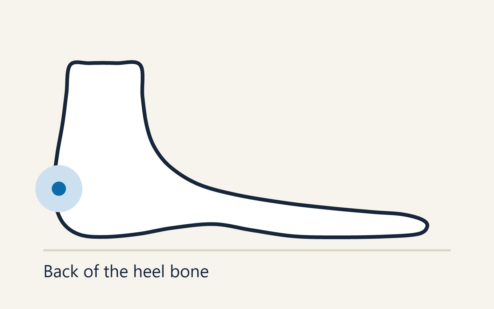 Side view of the heel marking the bony bump at the back of the heel