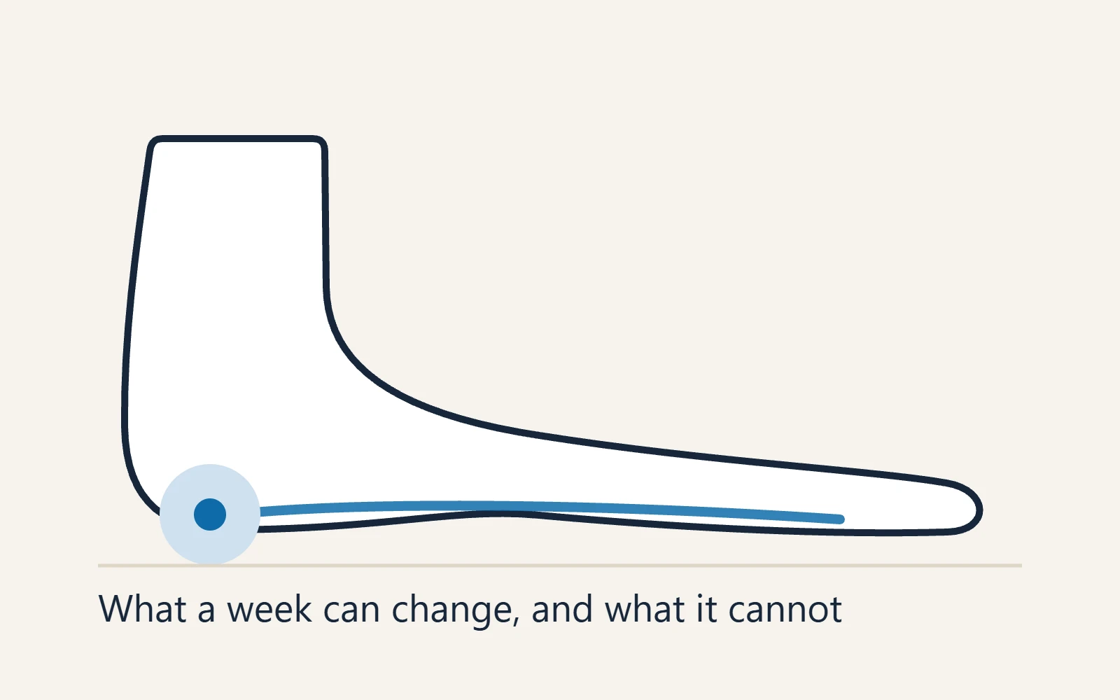 Schematic side view of the foot: What a week can change, and what it cannot