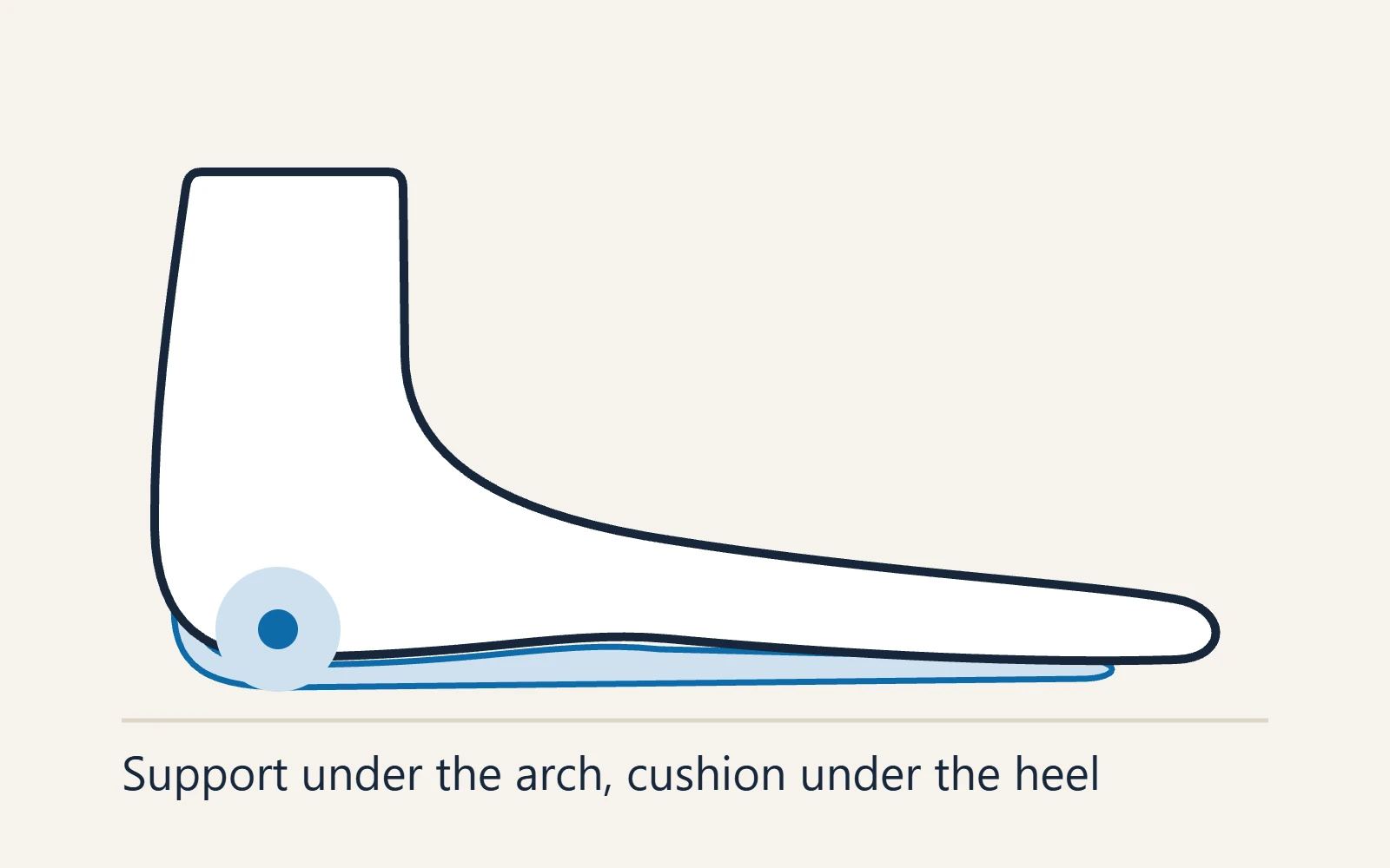 Schematic side view of the foot: Support under the arch, cushion under the heel