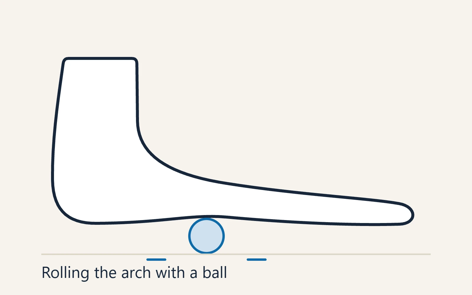 Schematic side view of the foot: Rolling the arch with a ball